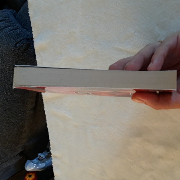 Tears Of The Renegade, a paperback book written by Linda Howard 1985 - Picture 5 of 5